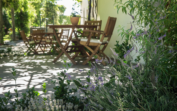 Estúdio Alfazema - Casa Soares Turismo Rural